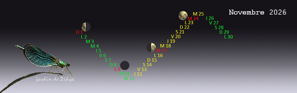Phase lunaire en novembre 2026.