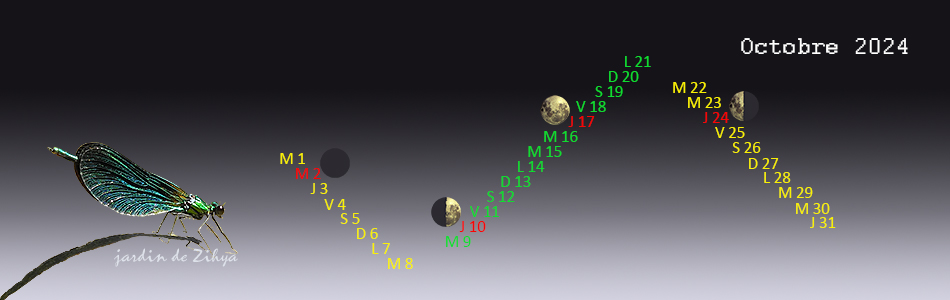 Phases de la lune en octobre 2024