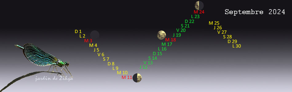 Phases de la lune en septembre 2024.