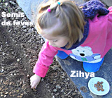 Zihya sème des fèves.